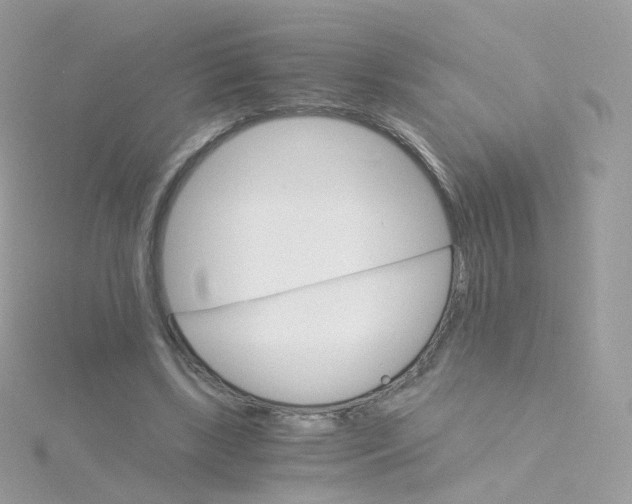 X0000115700443200911251837