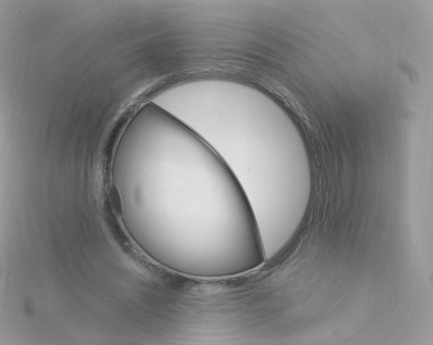 X0000115700444200911251838