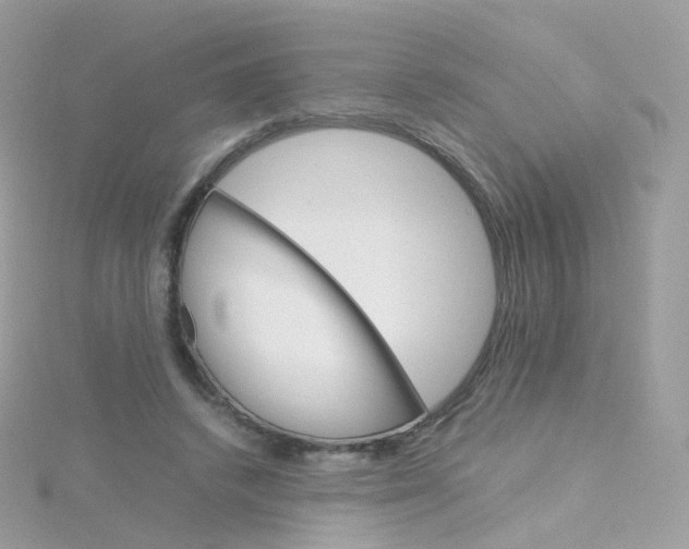 X0000115700448200911251838