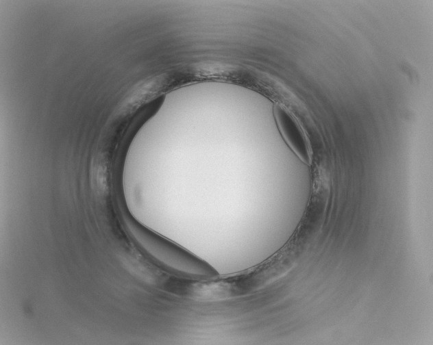 X0000115700452200911251838