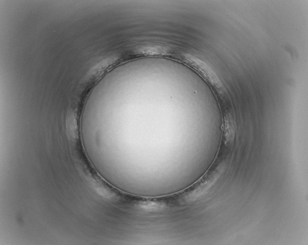 X0000115700453200911251838