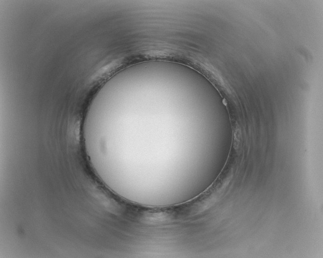 X0000115700454200911251838