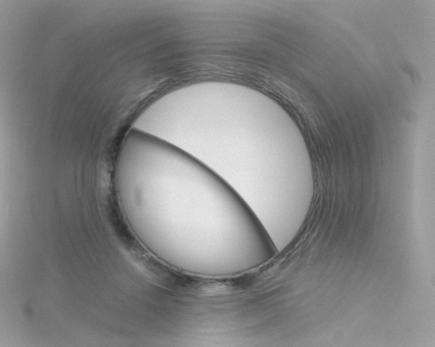 X0000115700456200911251838