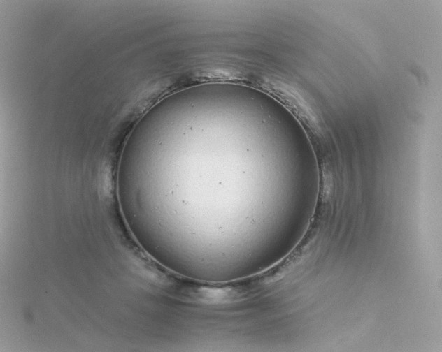 X0000115700457200911251838