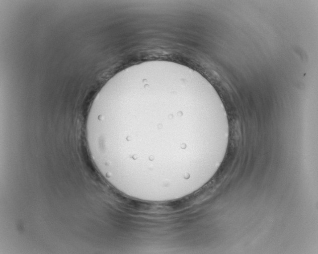 X0000115700463200911251838