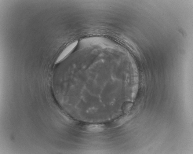 X0000115700465200911251838