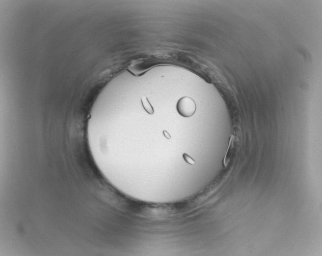 X0000115700466200911251838