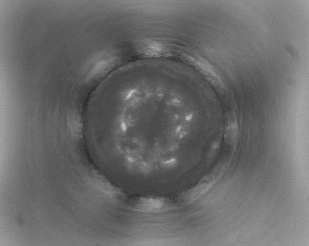 X0000115700469200911251838