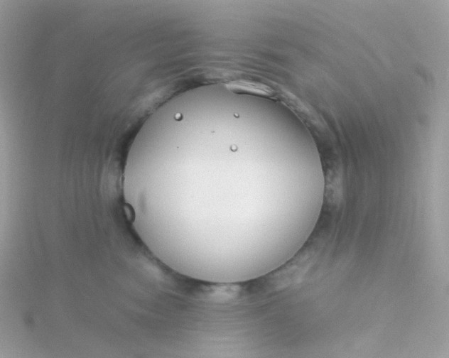 X0000115700474200911251838