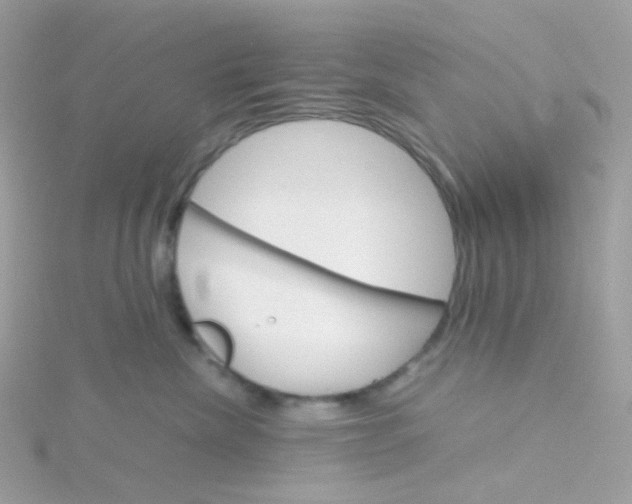 X0000115700476200911251838