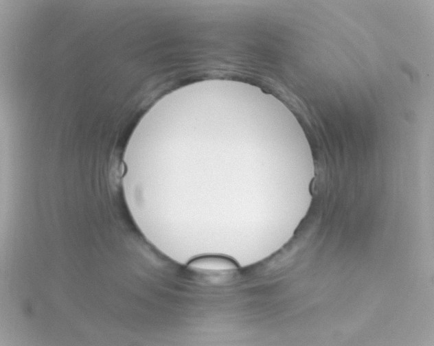 X0000115700479200911251838