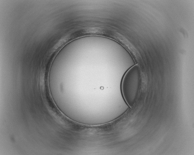 X0000115700482200911251837