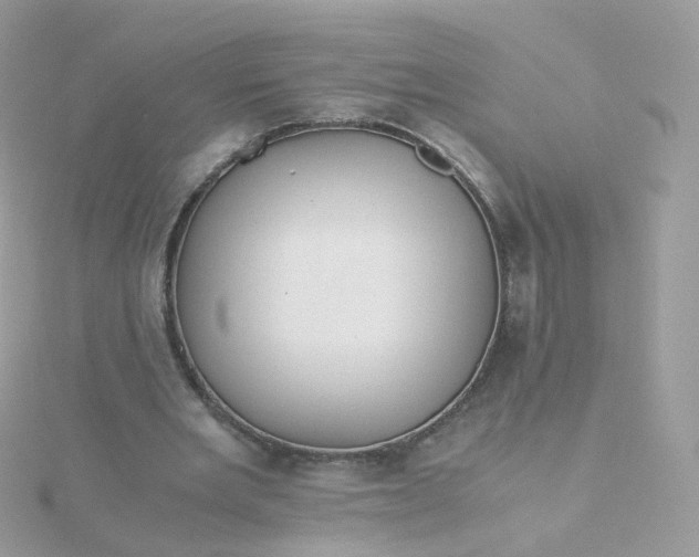 X0000115700485200911251837