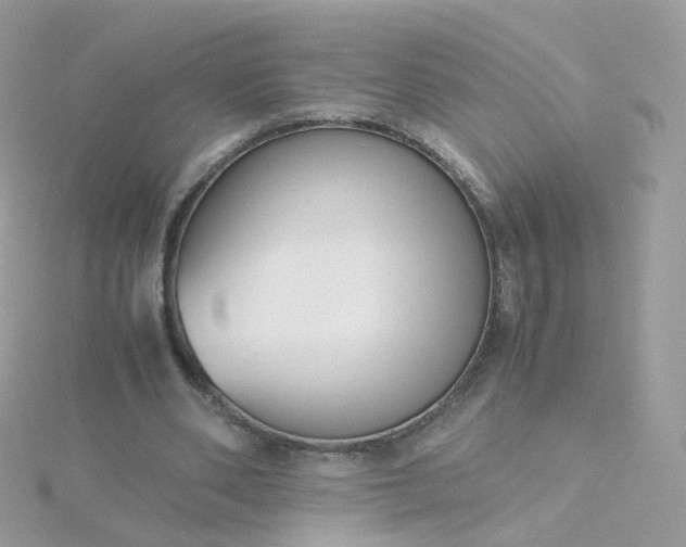 X0000115700486200911251837