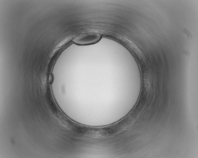 X0000115700488200911251837