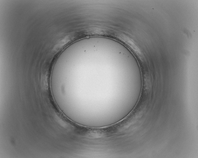 X0000115700489200911251837