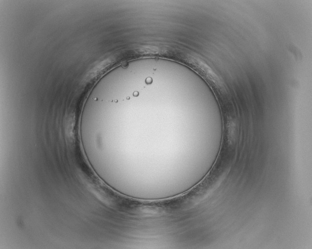 X0000115700490200911251837