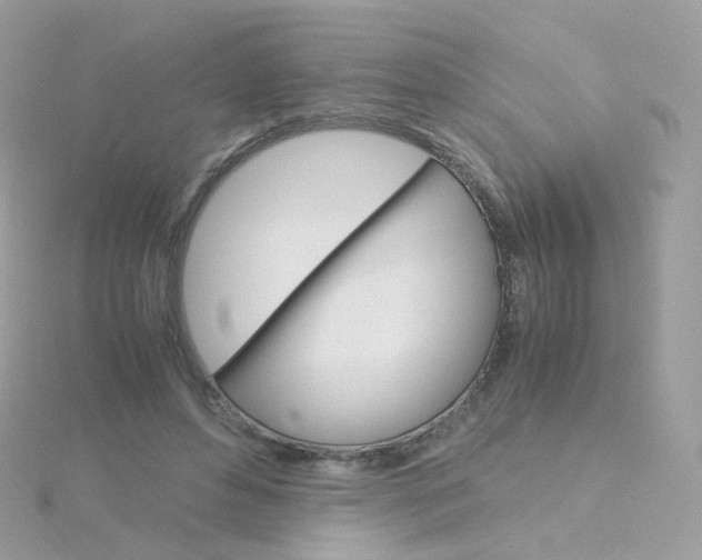 X0000115700496200911251837