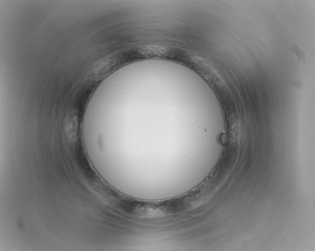 X0000115700498200911251837