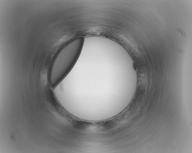 X0000115700504200911251837