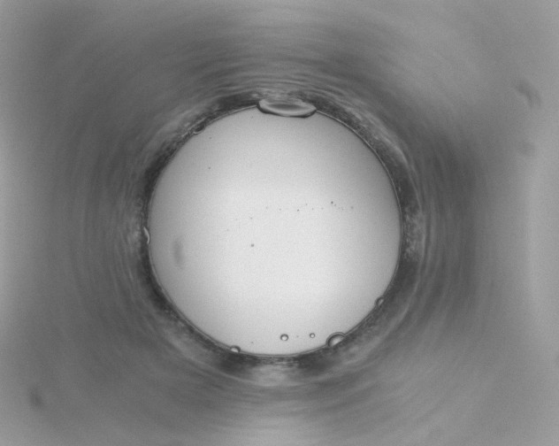 X0000115700505200911251837