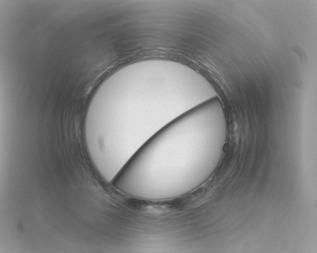 X0000115700508200911251837