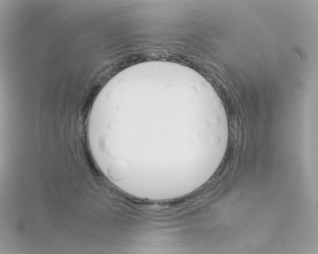 X0000115700511200911251837