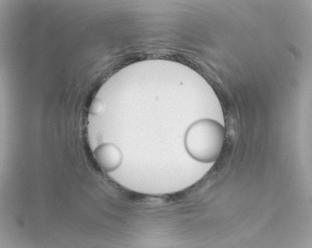 X0000115700519200911251837