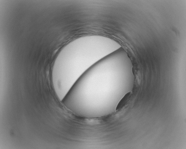 X0000115700520200911251837