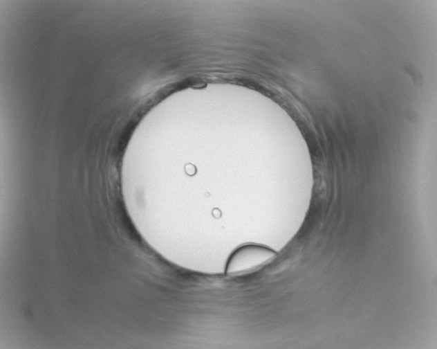 X0000115700523200911251837