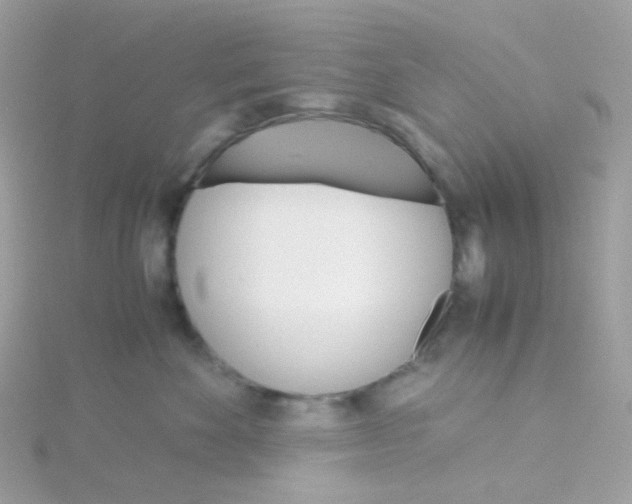 X0000115700524200911251837