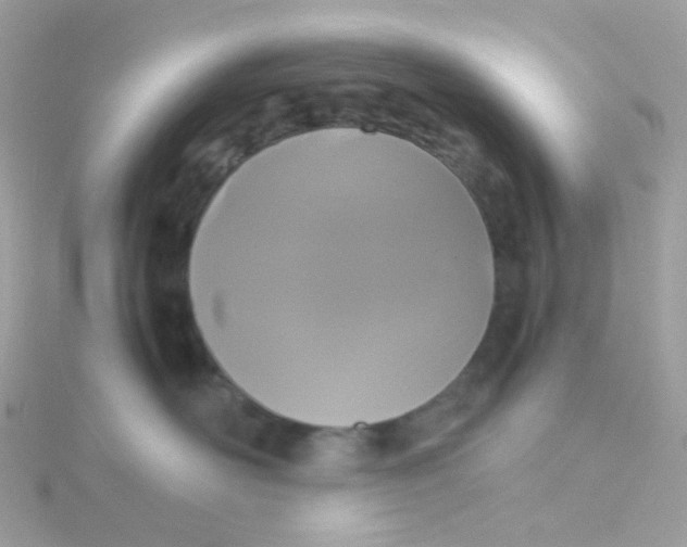 X0000115700526200911251837