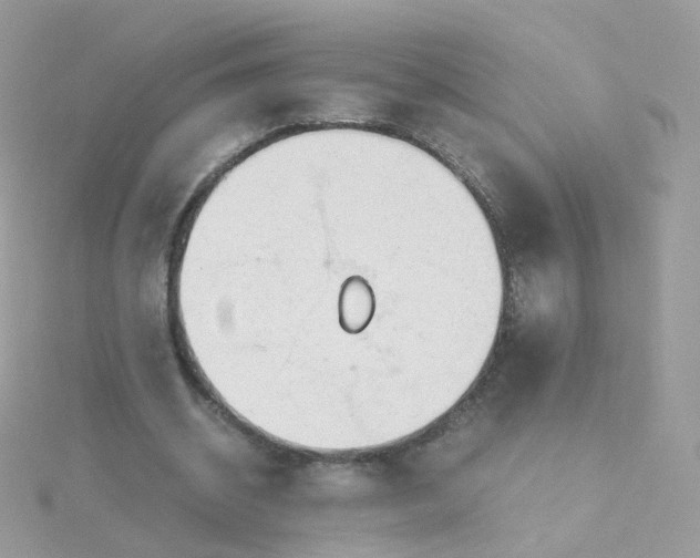 X0000115700534200911251836