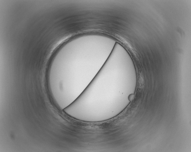 X0000115700535200911251836