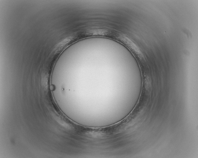 X0000115700537200911251836