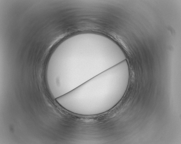 X0000115700539200911251836