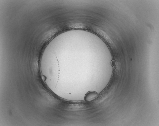 X0000115700541200911251836