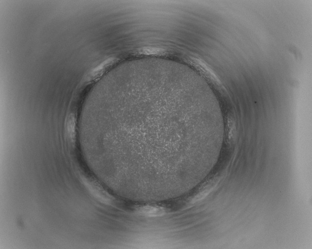 X0000115700542200911251836