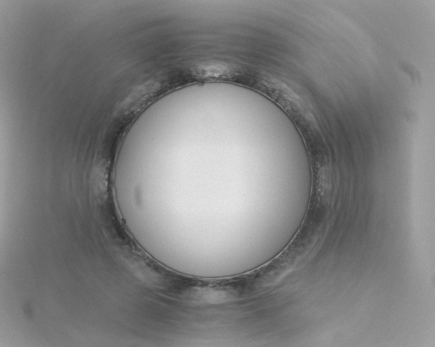 X0000115700545200911251836