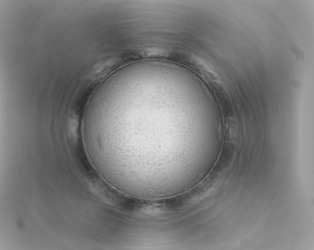 X0000115700550200911251836