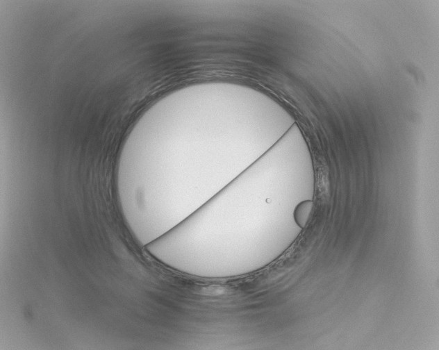 X0000115700551200911251836