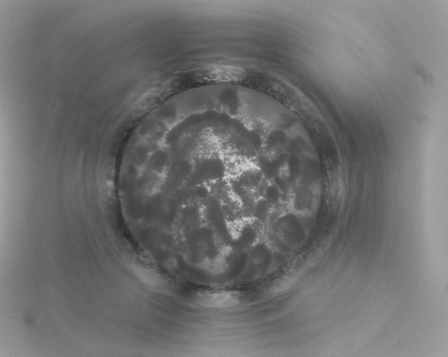 X0000115700553200911251836