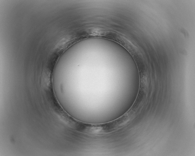 X0000115700554200911251836