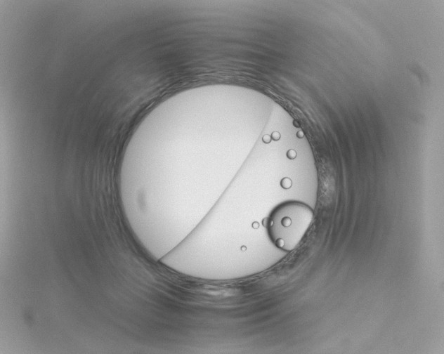 X0000115700555200911251836