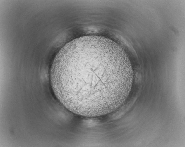 X0000115700561200911251837