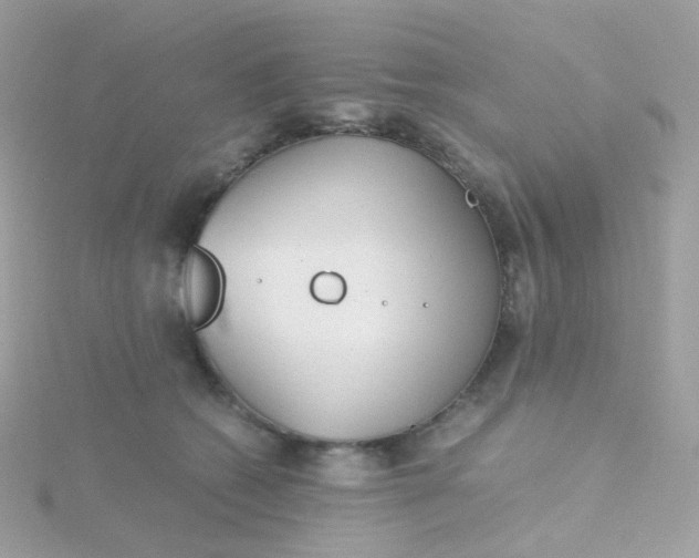 X0000115700562200911251837