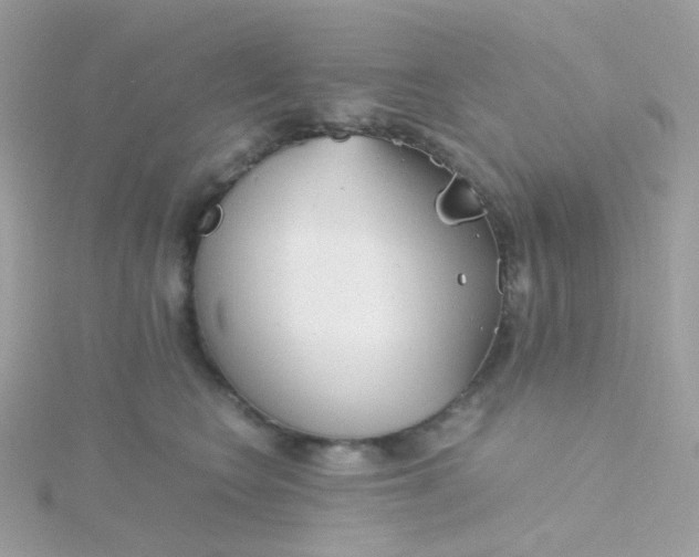 X0000115700566200911251837