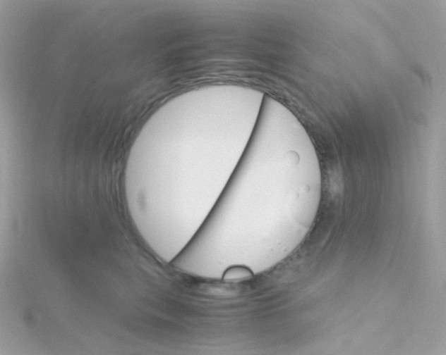 X0000115700567200911251837