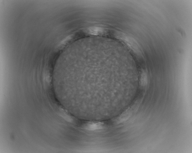 X0000115700569200911251837