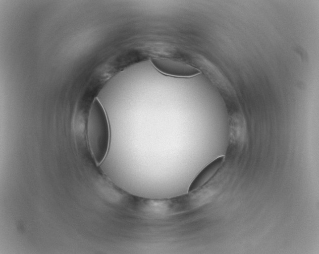 X0000115700573200911251837